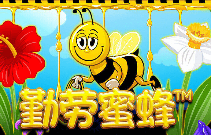 73882必赢